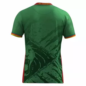 maillot cameroun domicile 2025/2026