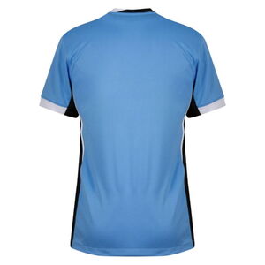 re_1762449737_2024-2025-uruguay-nike-home-ball-shirt-back-650×0